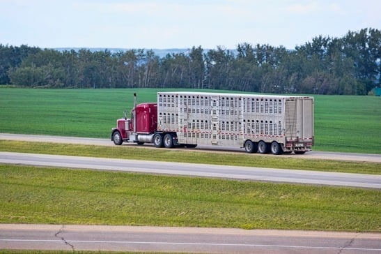 Reefer GettyImages-994613506 crop